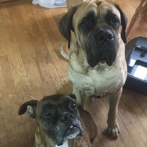 Meet your Posher, Aaron